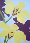 Hawaiian Orchid, Ed 32, 9x13