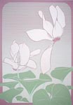 Cyclamen, Ed 84, 9x13