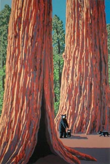 Black Bears and Big Trees, Ed 141, 12x18, $B