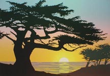 Cypress at Sunset, Ed 153, 9x13, $A